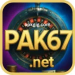 pak67-game