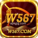W567 Game
