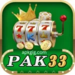 PK33 Game